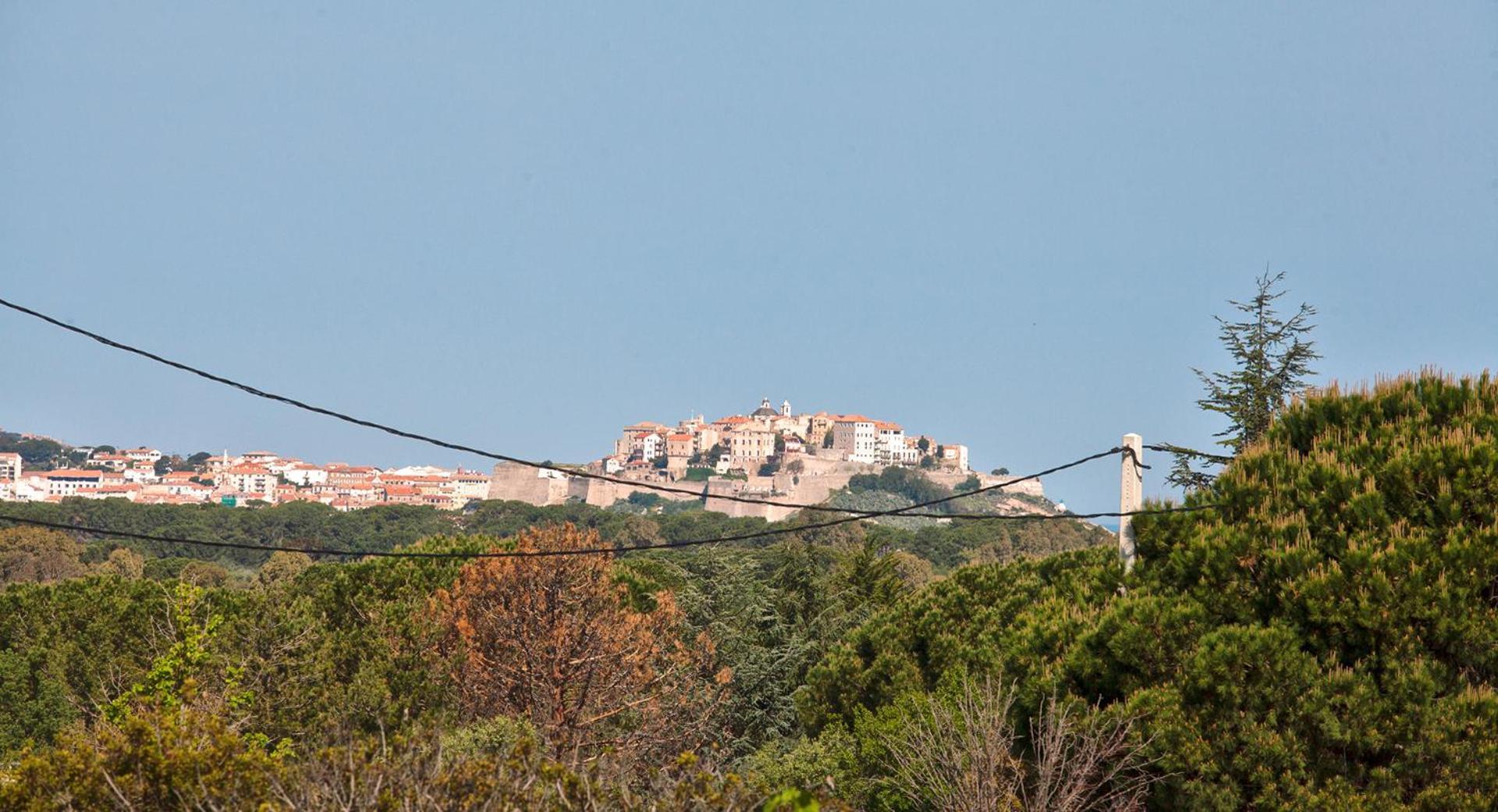 Acquavital * Calvi (Corsica)