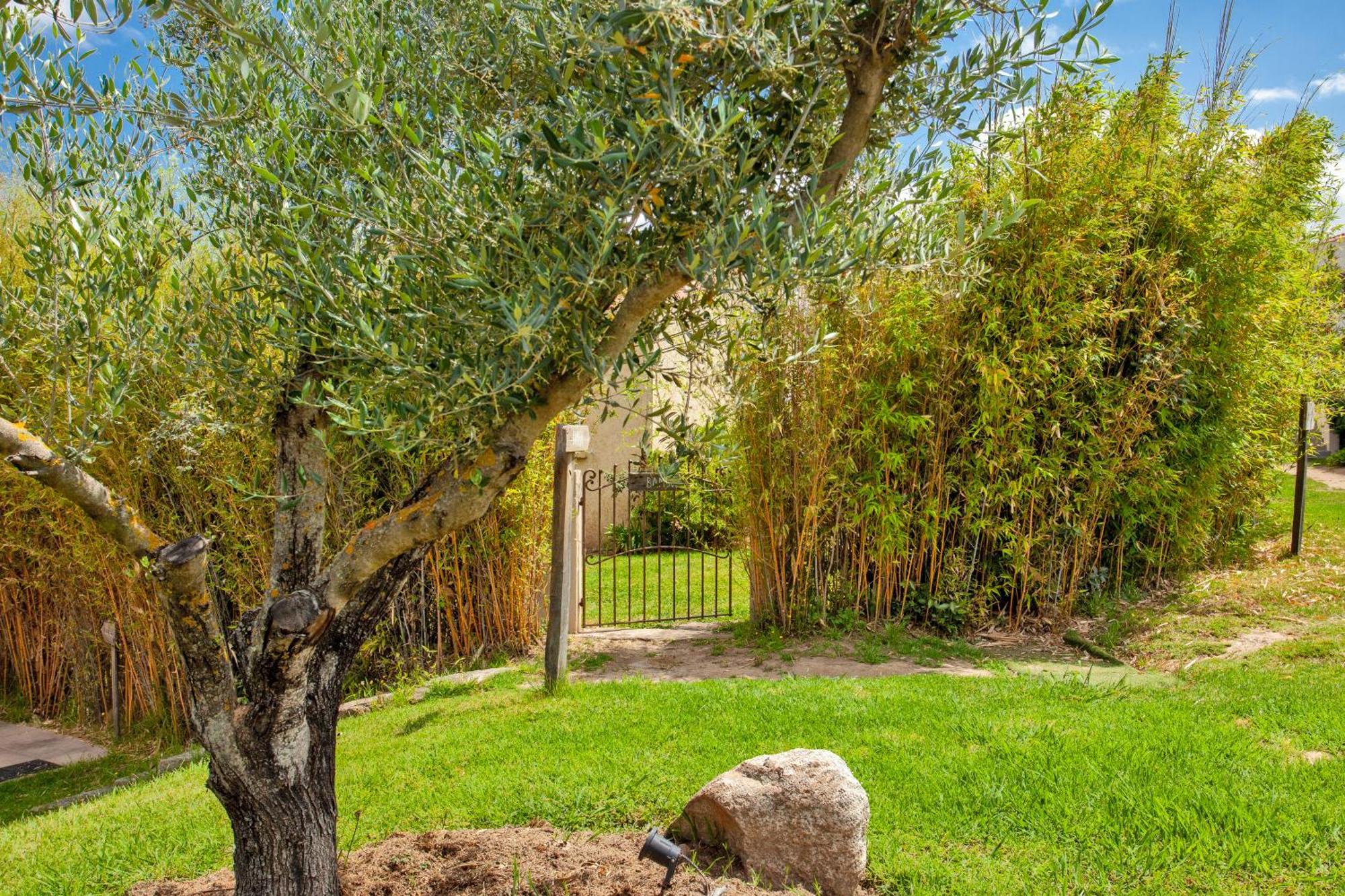 Résidence Acquavital Calvi (Corsica)